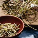 Tagarninas: Qué son, beneficios y usos en la cocina de esta planta