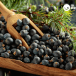 Enebro: qué es, para qué sirve, propiedades y usos en la cocina