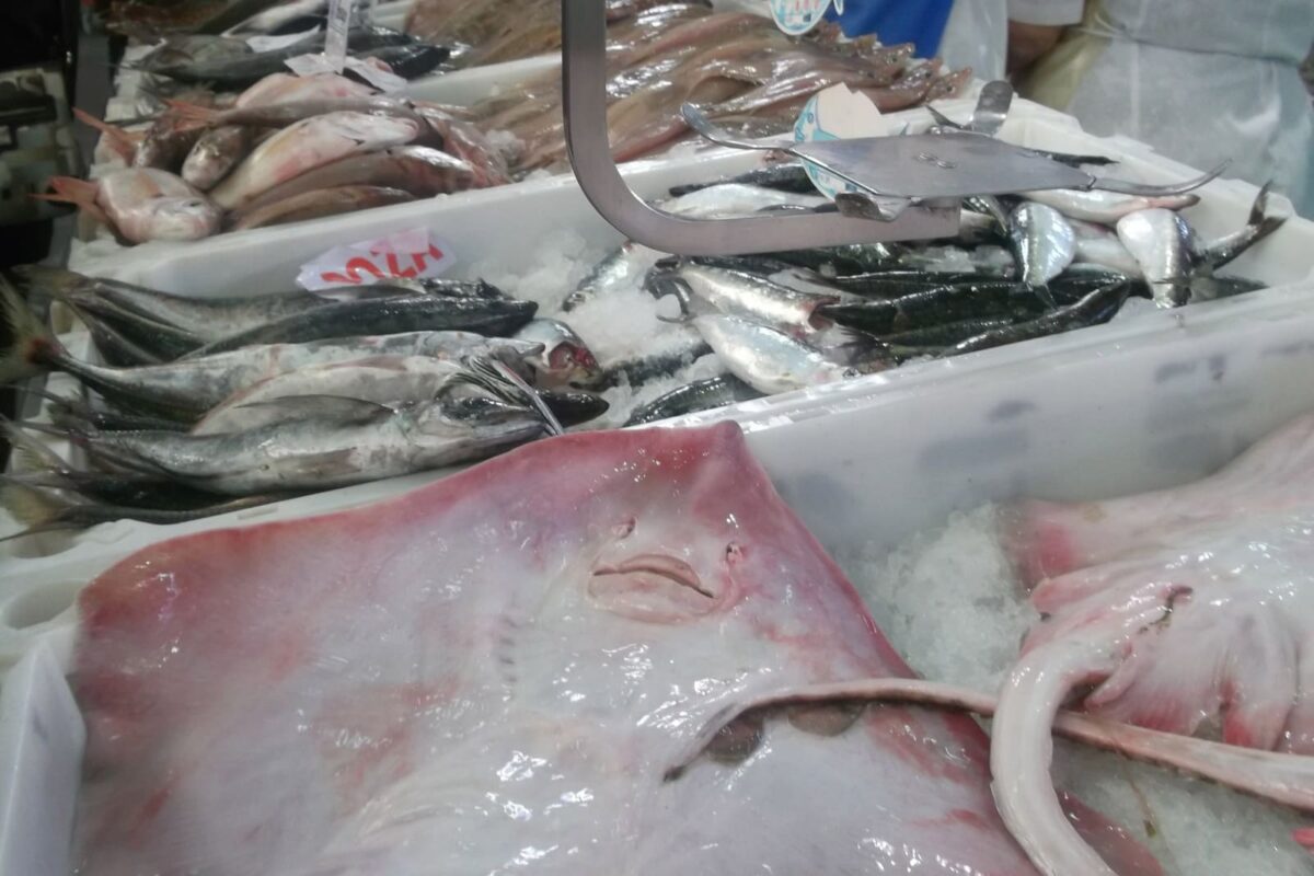 caldeirada de raya paso 2