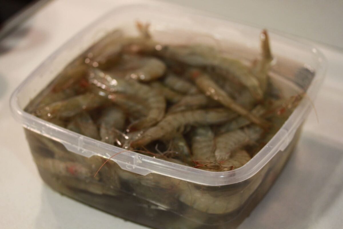 caldos langostinos paso 1