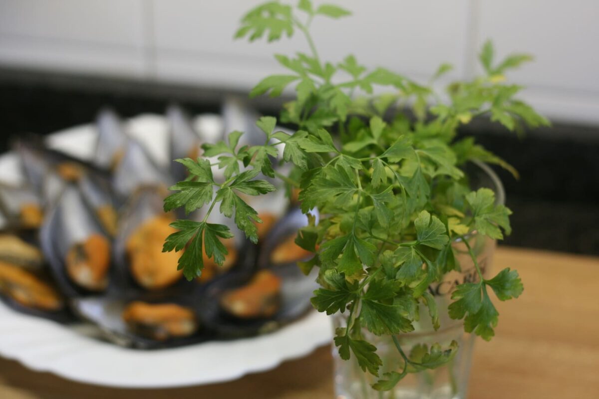 mejillones en salsa picante paso 14