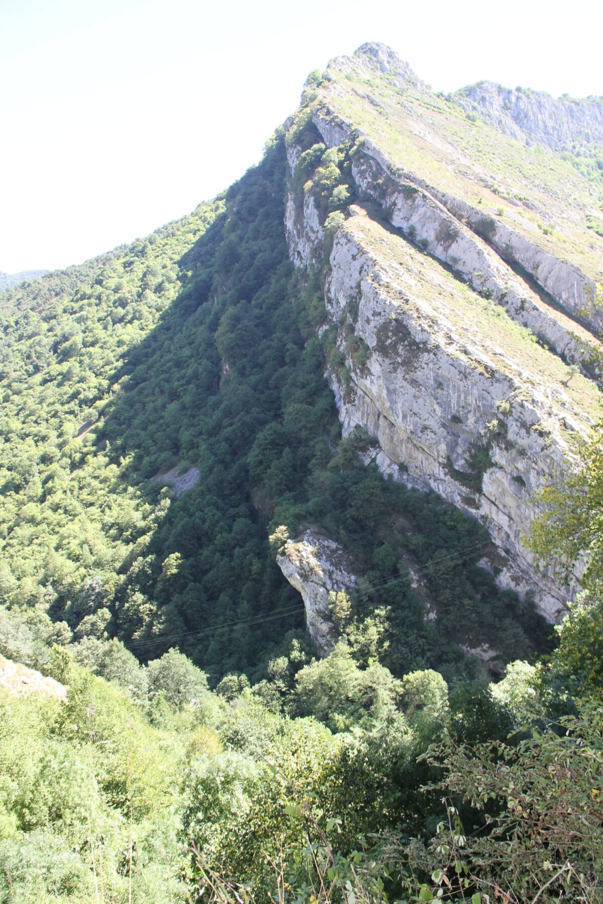 morodo 13