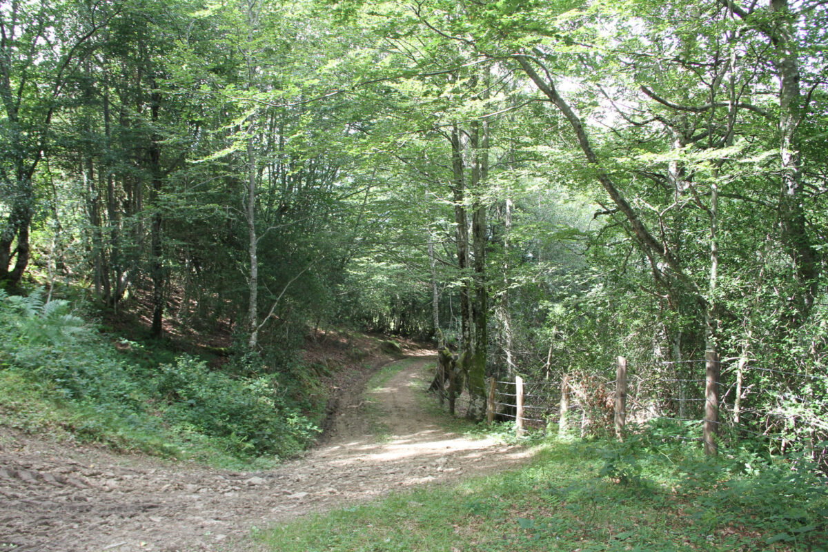 morodo 28