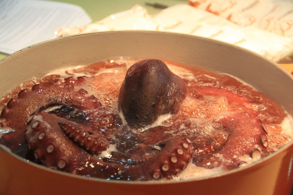 pulpo a la gallega tradicional paso 16