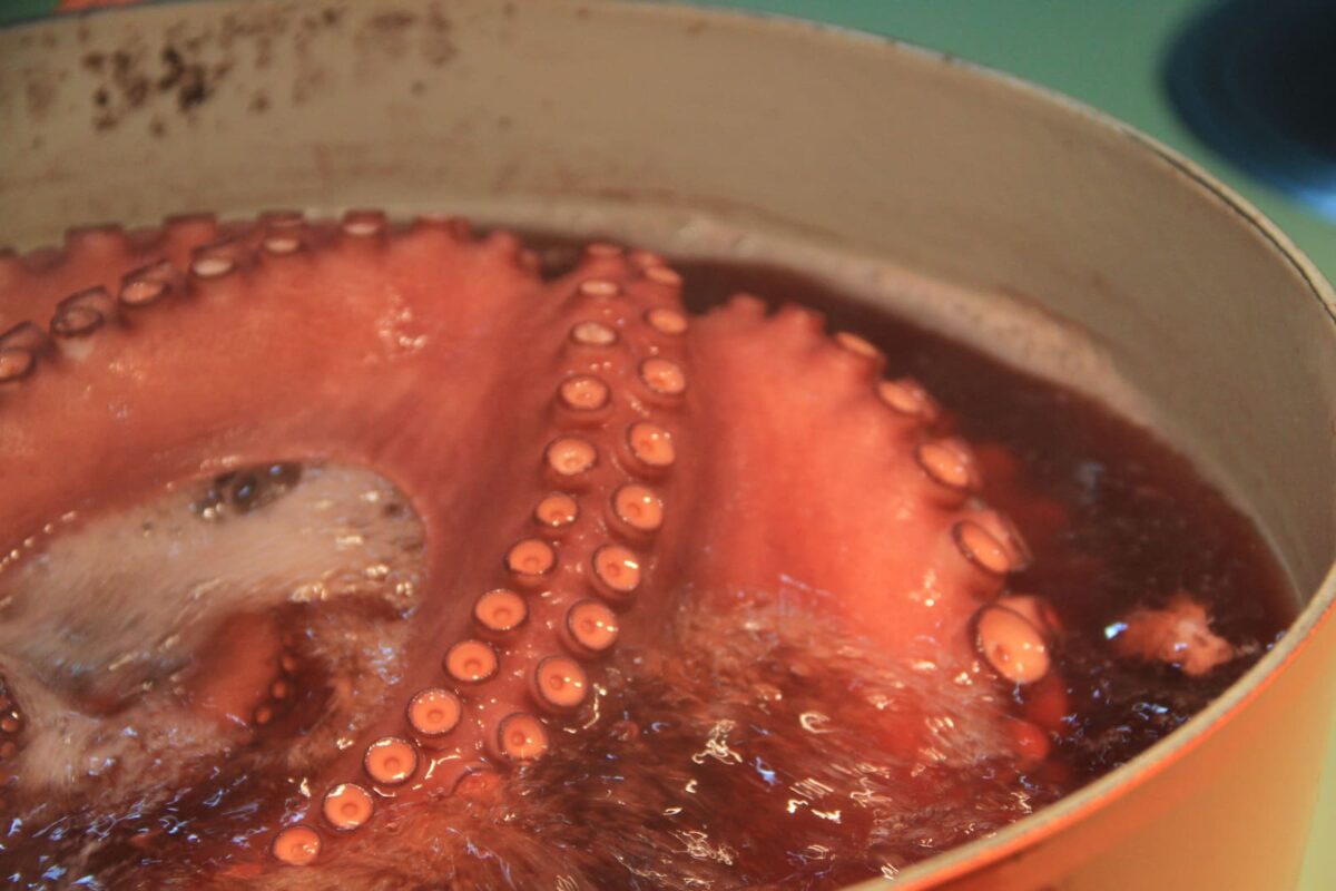 pulpo a la gallega tradicional paso 18