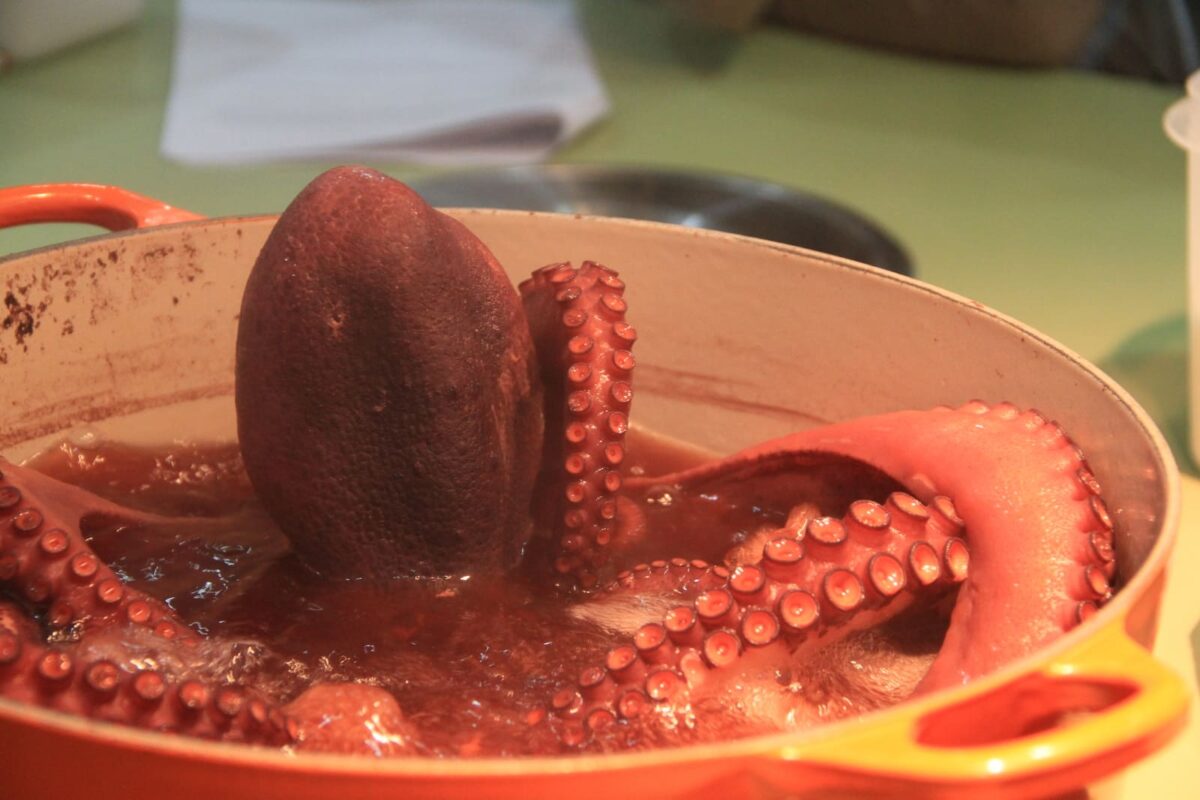 pulpo a la gallega tradicional paso 19