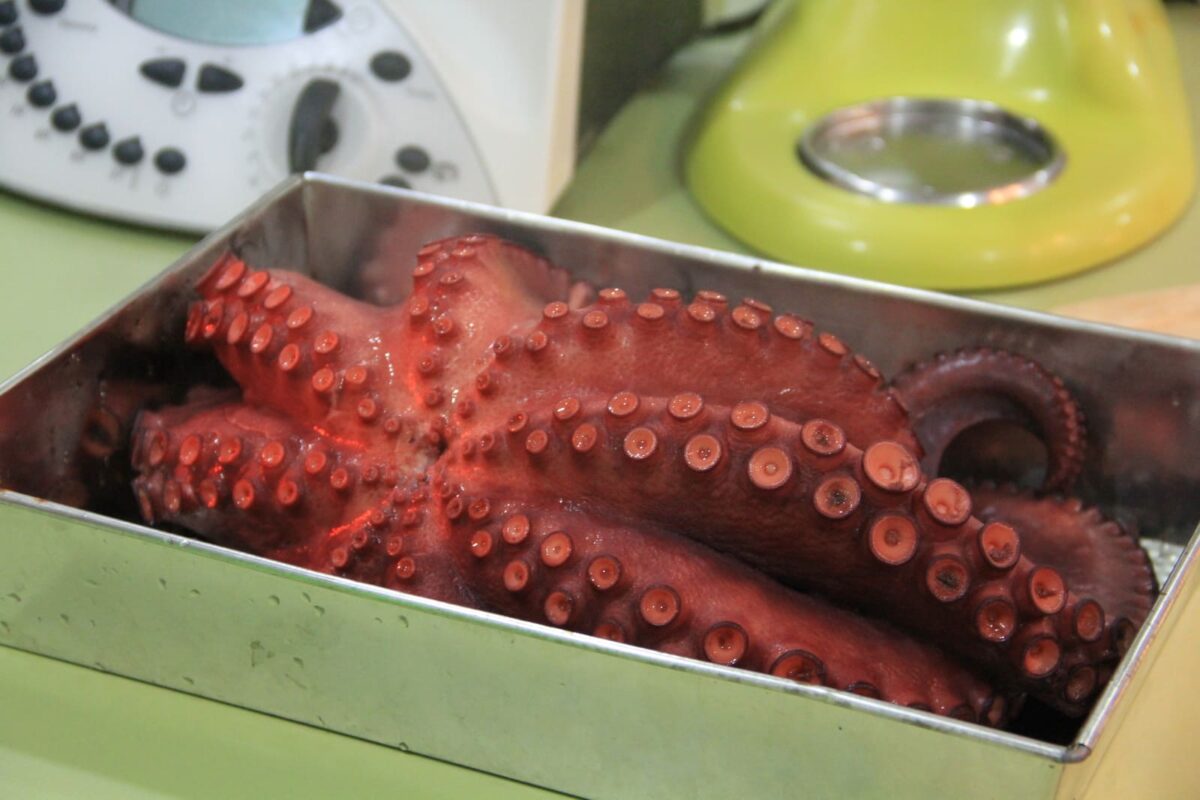 pulpo a la gallega tradicional paso 28
