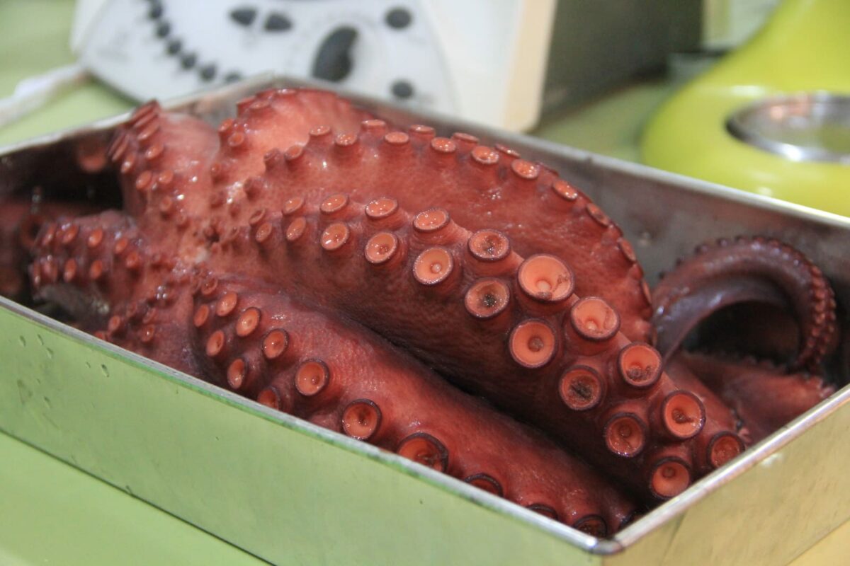 pulpo a la gallega tradicional paso 30