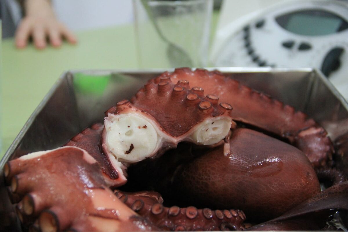 pulpo a la gallega tradicional paso 32