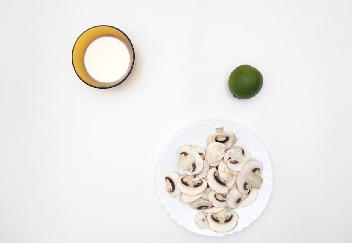 Tortillas de avena saladas con 4 rellenos diferentes