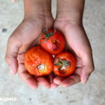 Cómo saber si un alimento está en mal estado