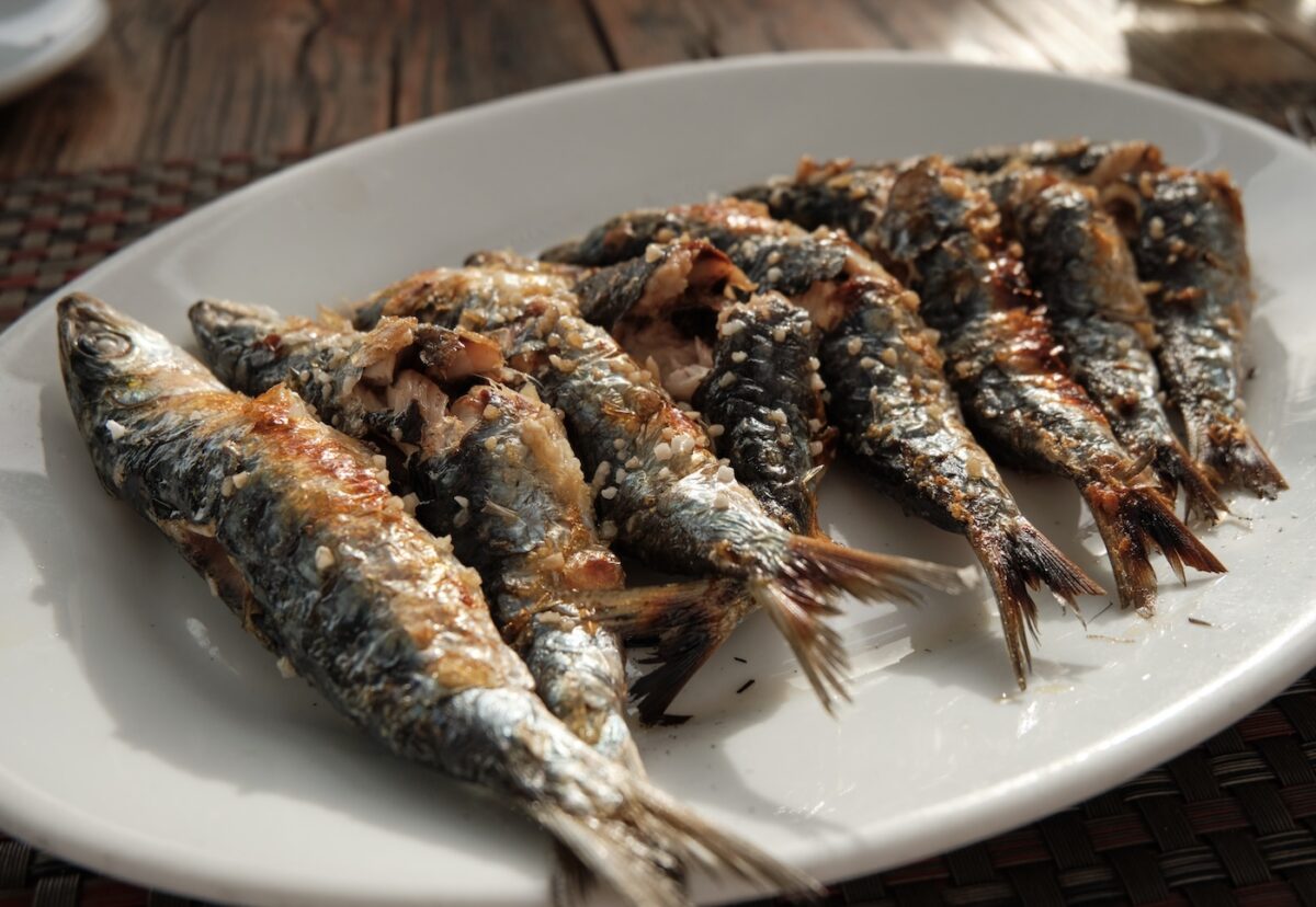 Cómo hacer los mejores espetos malagueños de sardinas