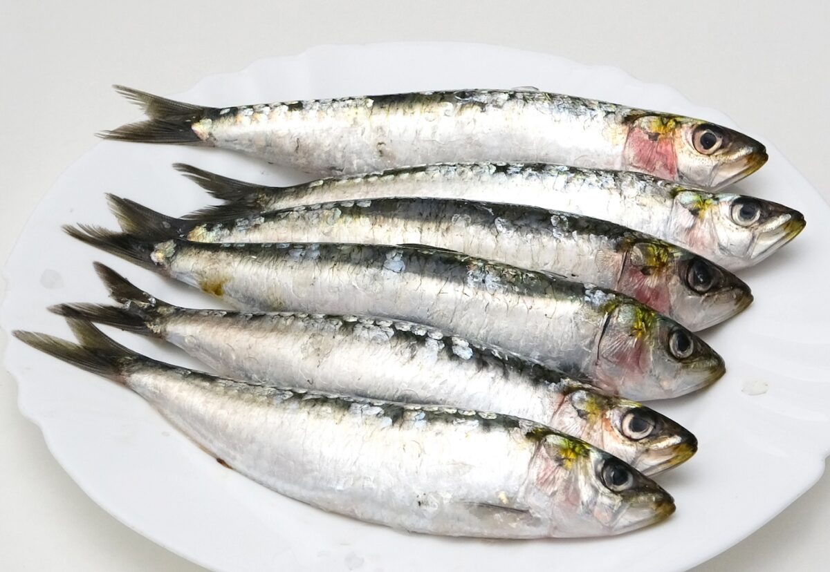 Sardinas a la plancha. Una deliciosa receta para verano
