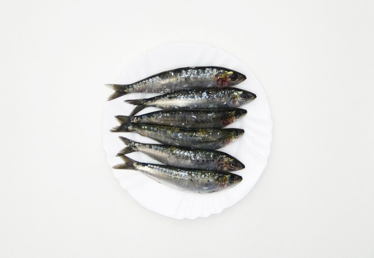 Sardinas a la plancha. Una deliciosa receta para verano