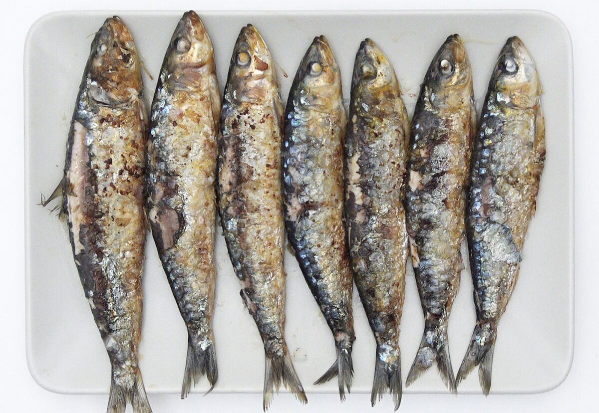 Sardinas a la plancha. Una deliciosa receta para verano