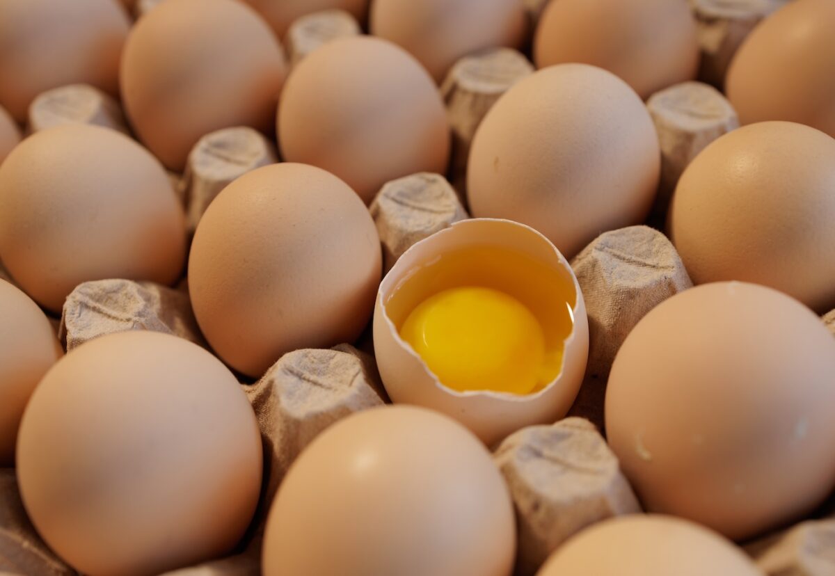 Los grandes secretos de la alimentación