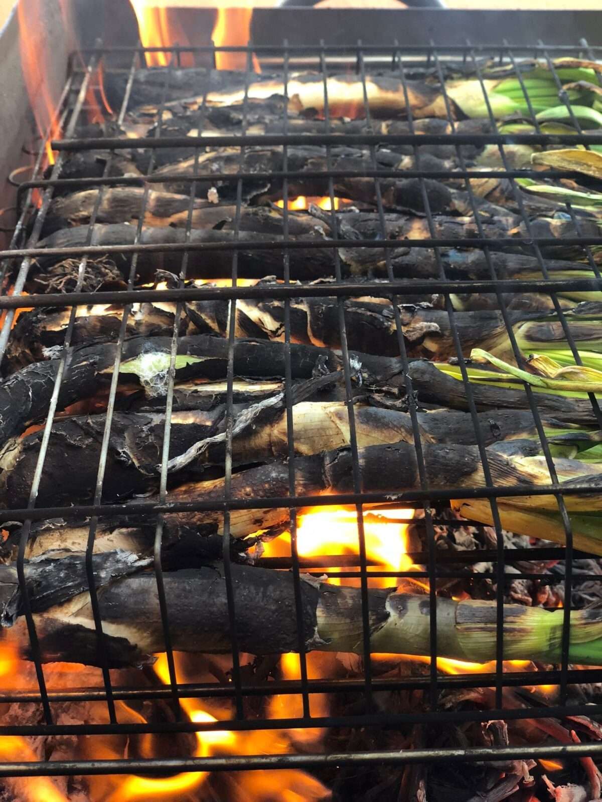 calçots a la brasa paso 6