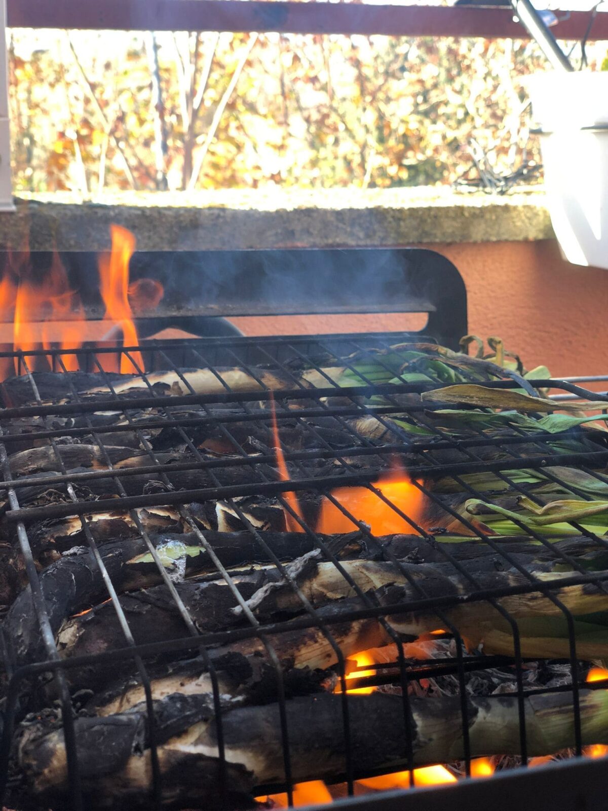 calçots a la brasa paso 8