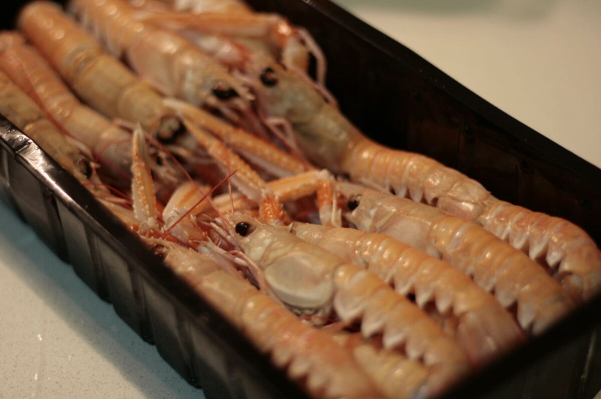 crema mariscos paso 1