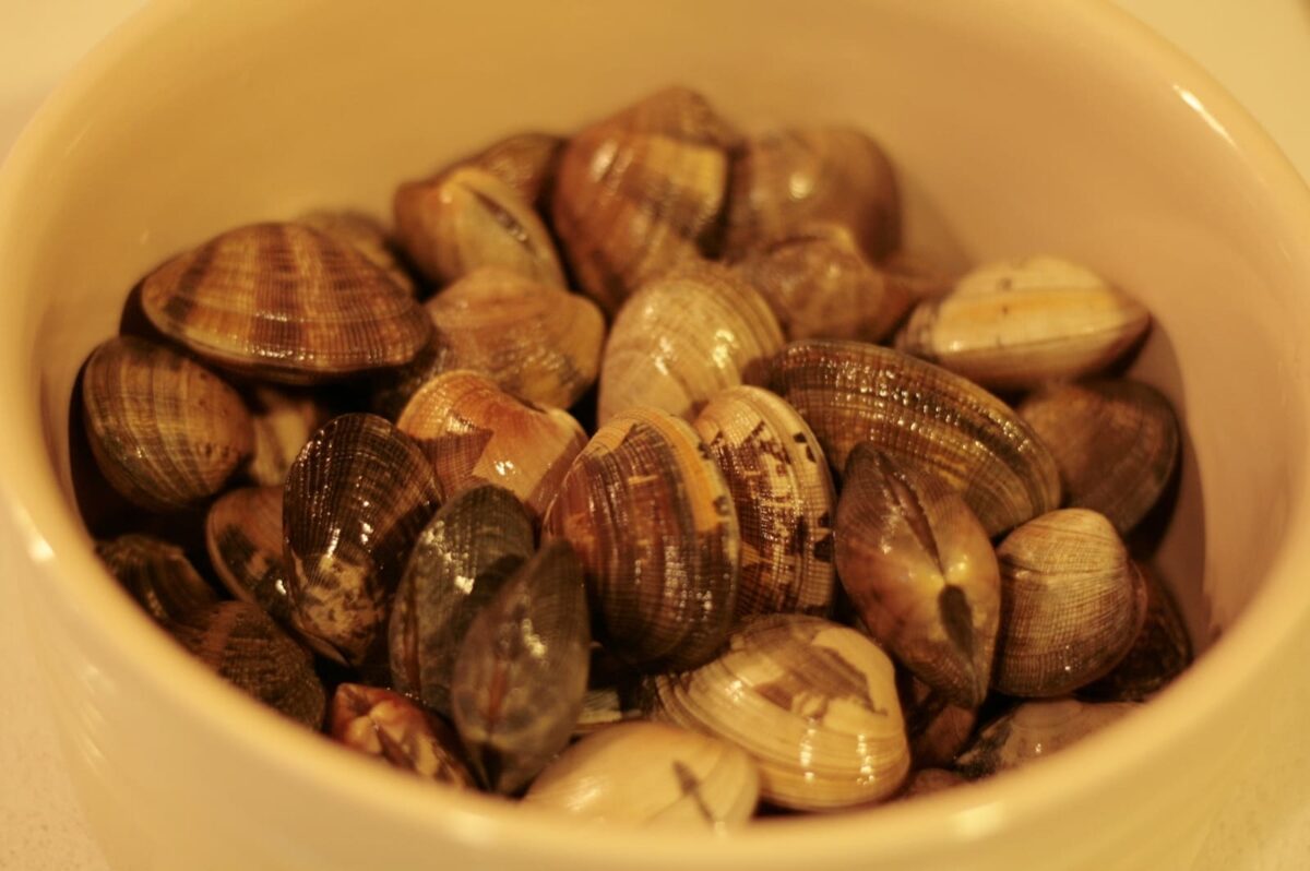 espaguetis con almejas paso 8