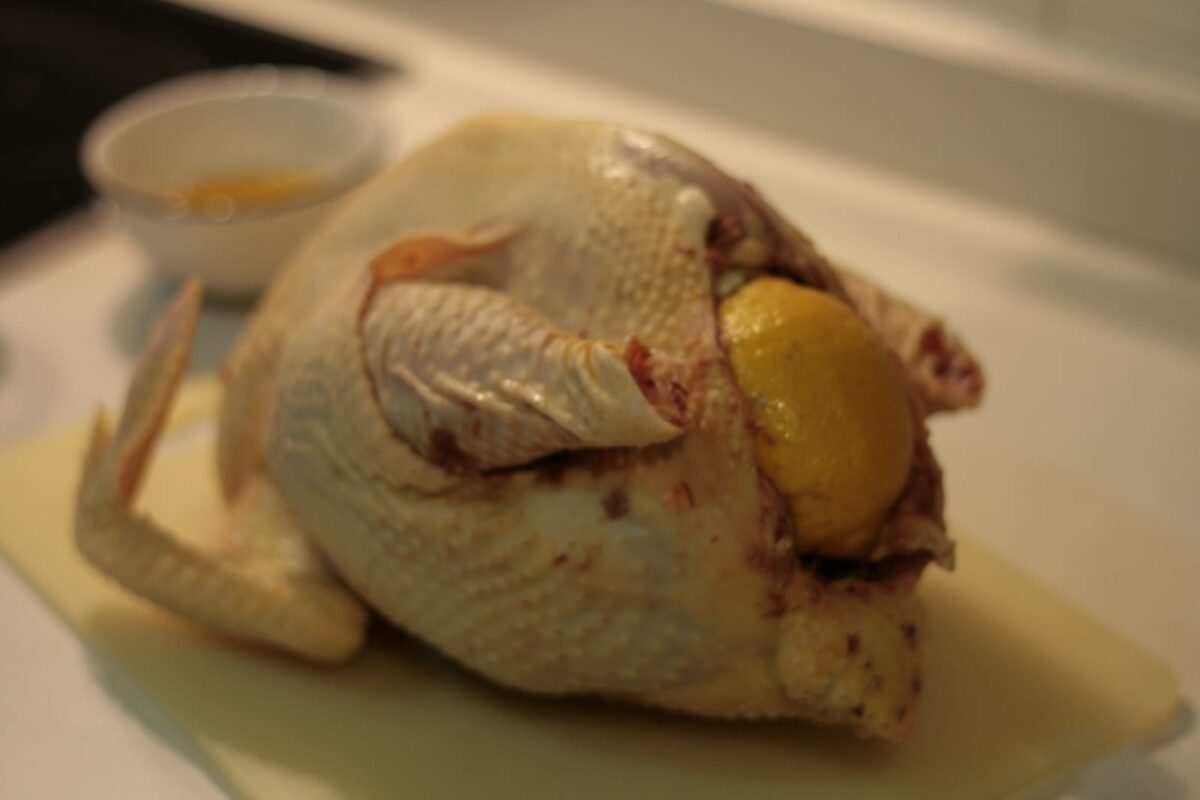 gallo de mos paso 11