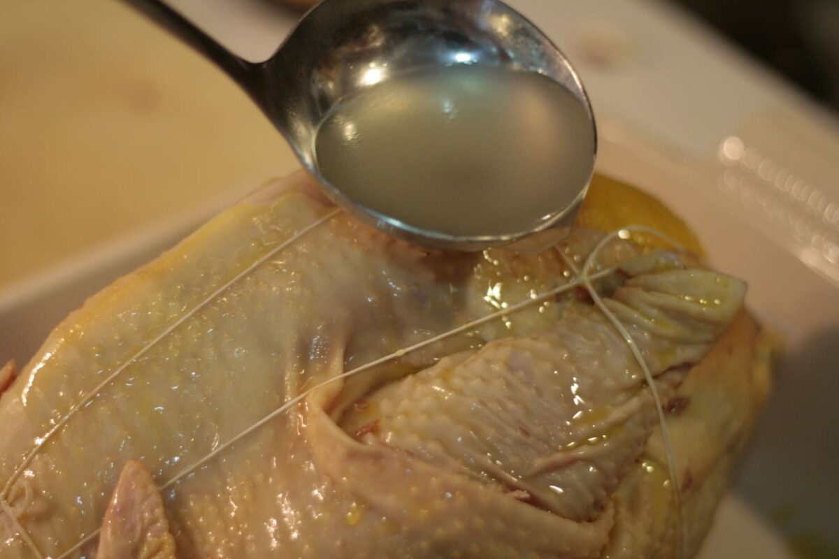 gallo de mos paso 13