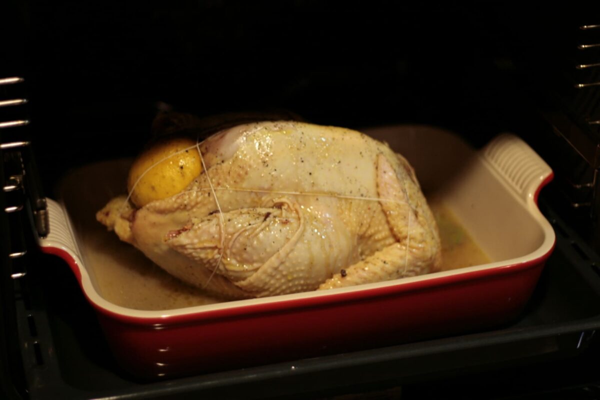 gallo de mos paso 17