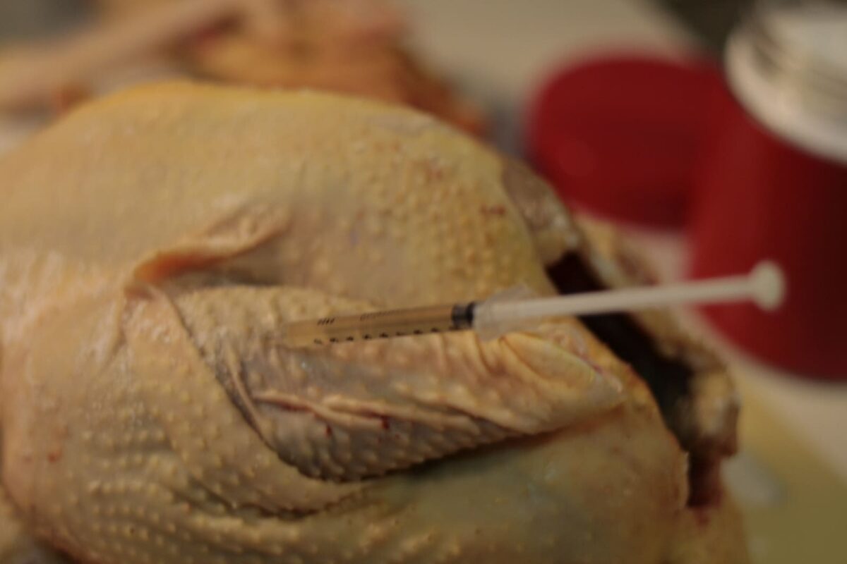 gallo de mos paso 5