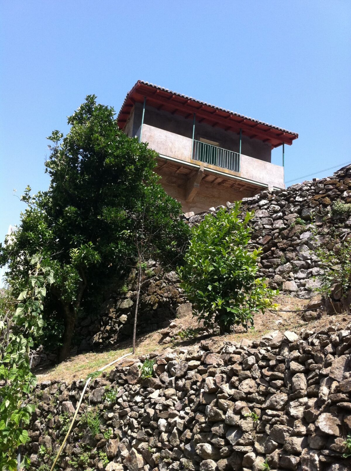 huerto forraqueira 12