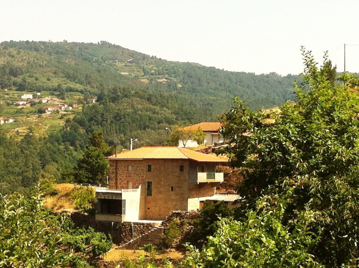 huerto forraqueira 2
