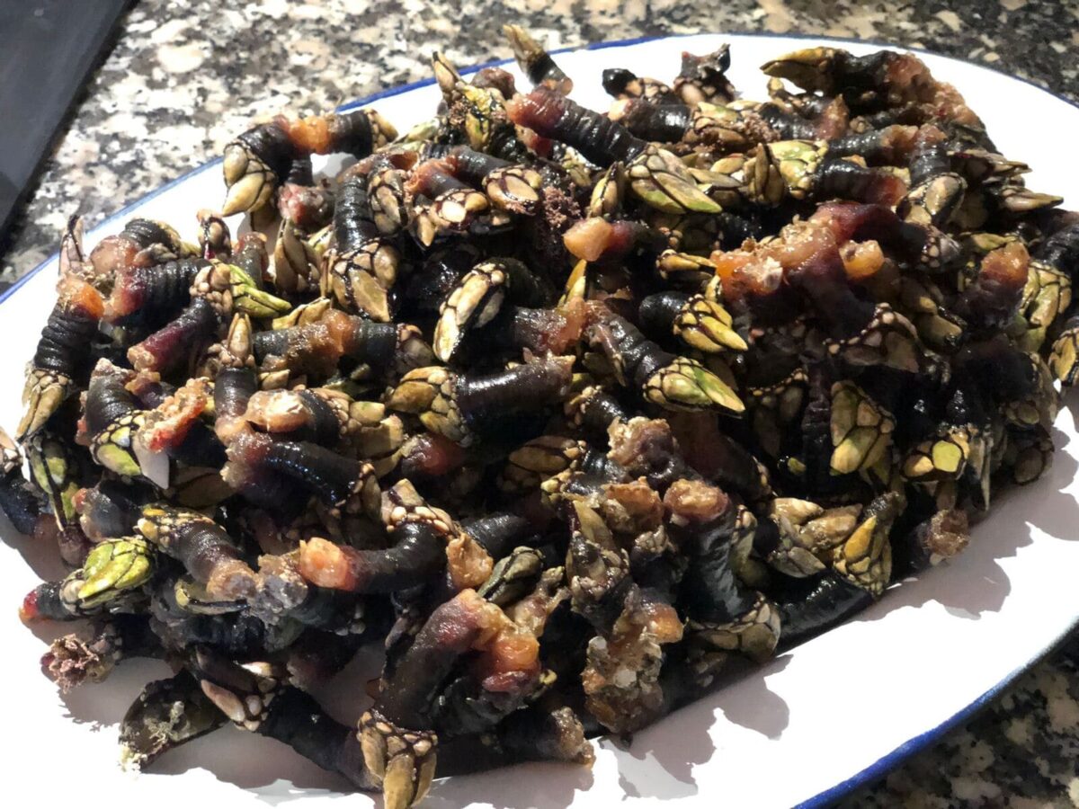 percebes paso 6