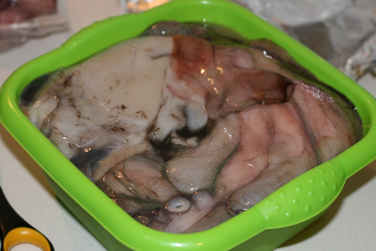 pulpo a la mugardesa paso 4
