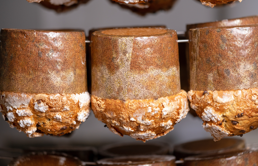 ERRORES COMUNES AL HACER PANETTONE EN CASA