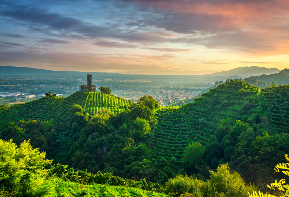 Diferencias entre cava, prosecco y champagne