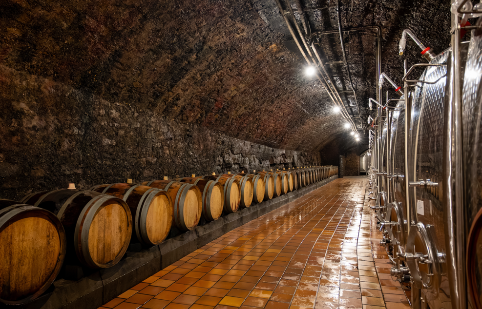 Diferencias entre cava, prosecco y champagne