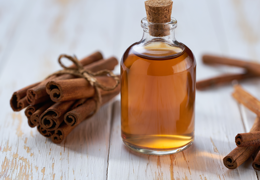 Canela. Qué es, para qué sirve y usos en la cocina