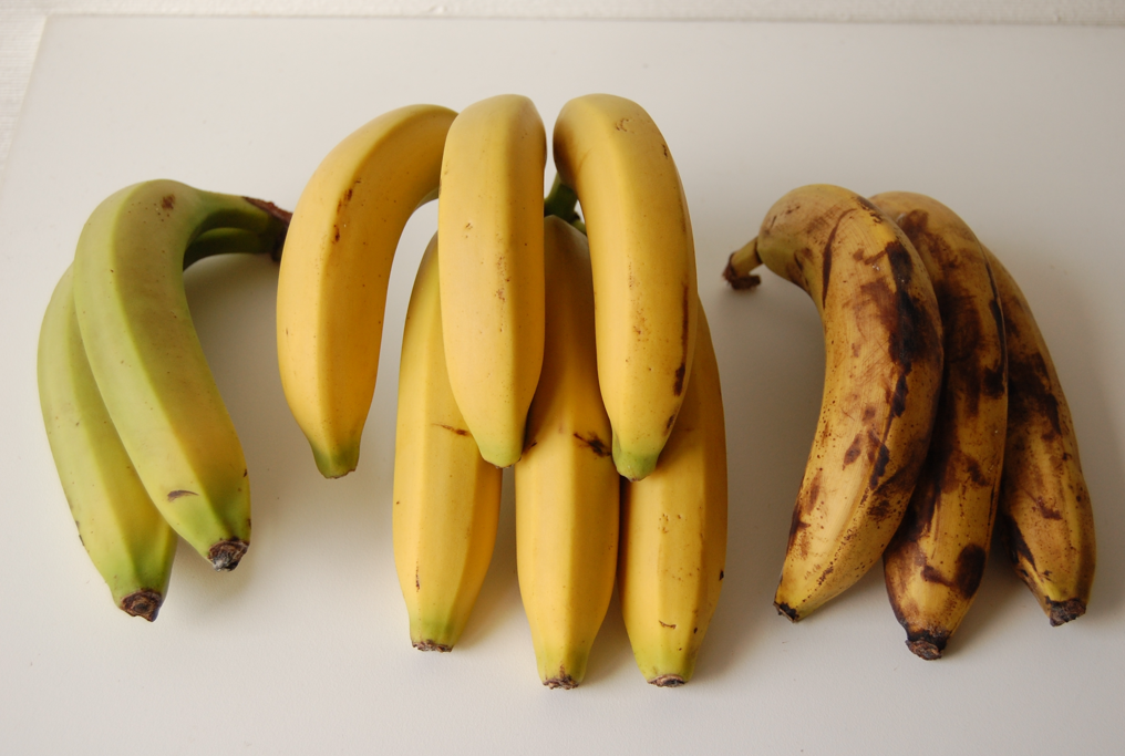 Consejos prácticos para disminuir el desperdicio de alimentos