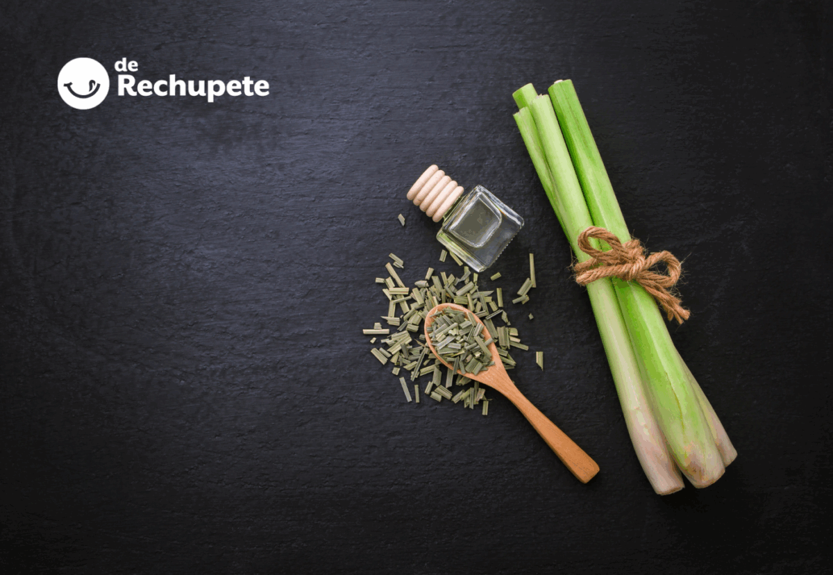 Lemongrass. ¿Qué es y para qué sirve? Propiedades y usos en la cocina