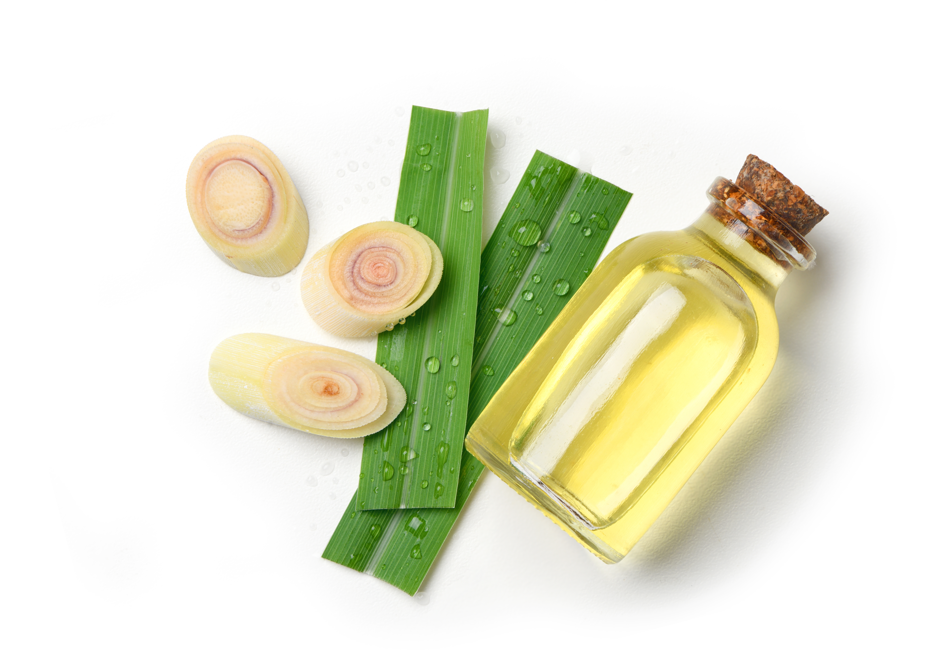 Lemongrass. ¿Qué es y para qué sirve? Propiedades y usos en la cocina