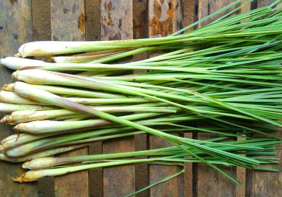 Lemongrass. ¿Qué es y para qué sirve? Propiedades y usos en la cocina