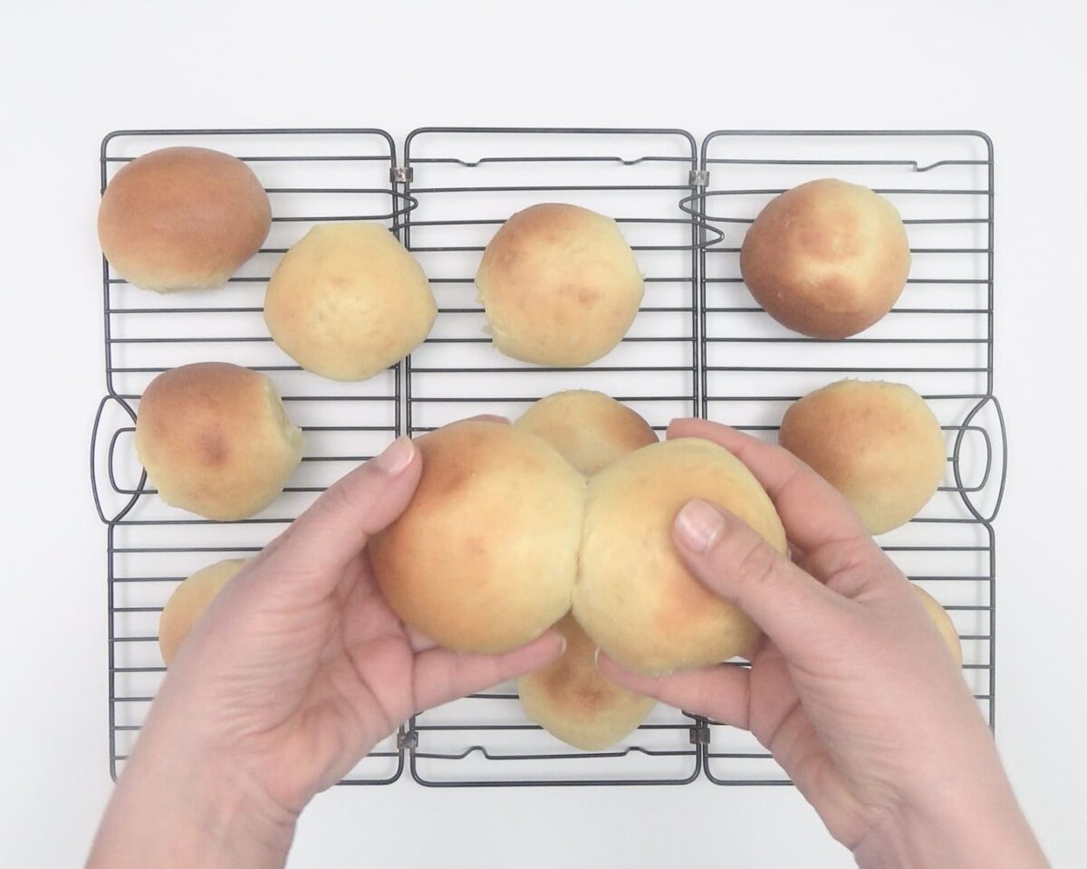 panecillos de leche paso 19