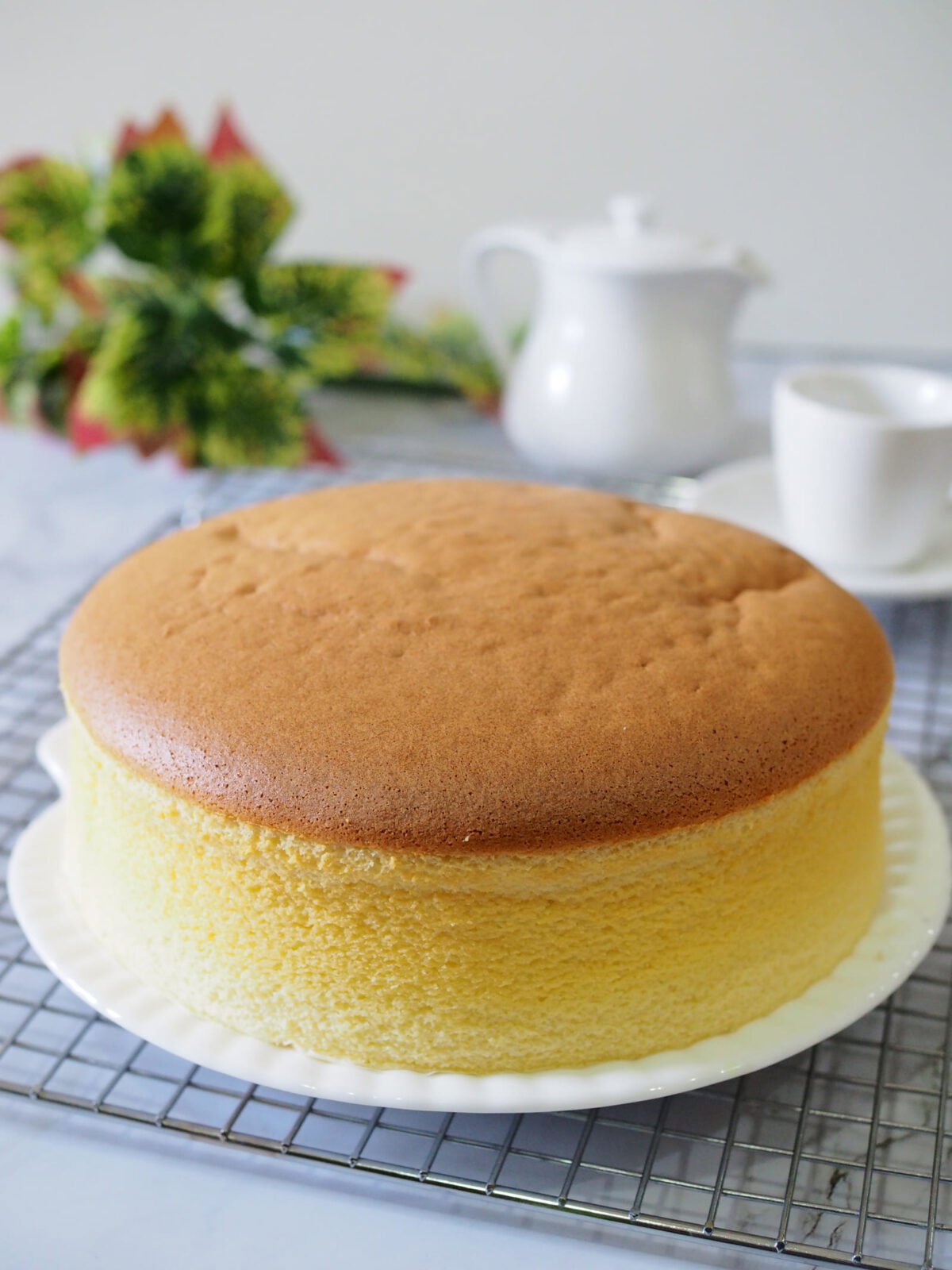 pastel de queso japonés paso 10