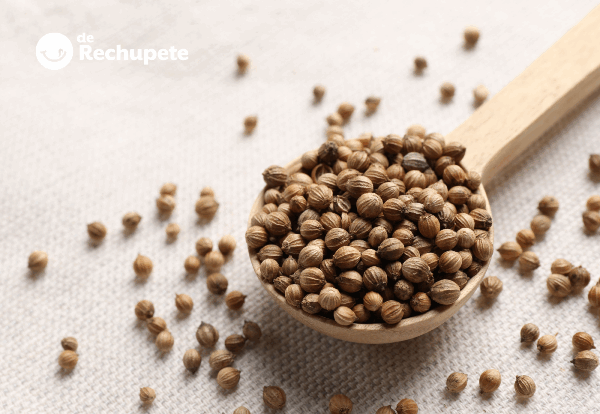 Semillas de cilantro. ¿Qué son? Propiedades y usos en la cocina