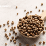 Semillas de cilantro. ¿Qué son? Propiedades y usos en la cocina