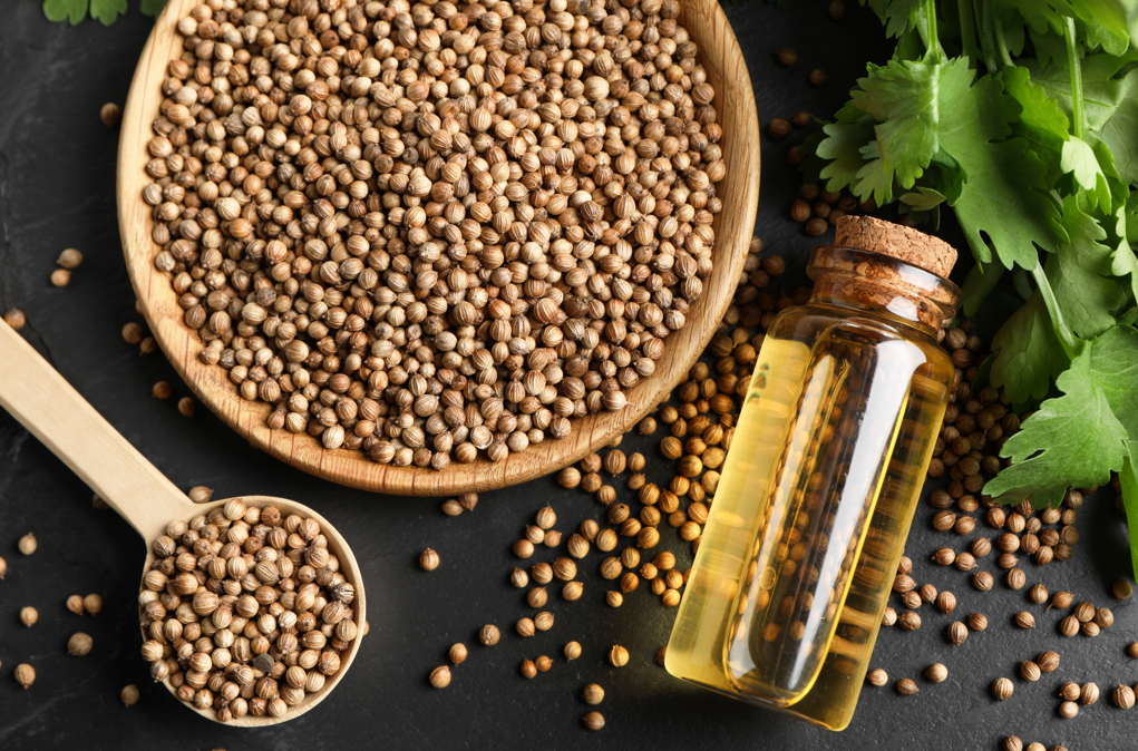 Semillas de cilantro. ¿Qué son? Propiedades y usos en la cocina