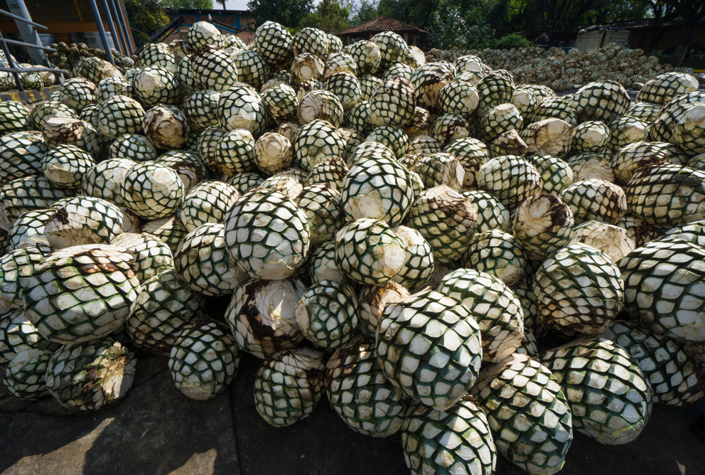 El tequila