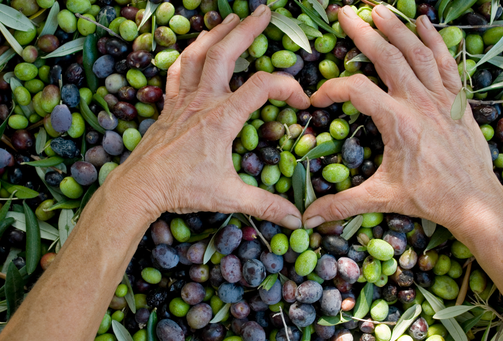 Ningún alimento o medicina puede hacer lo que el aceite de oliva