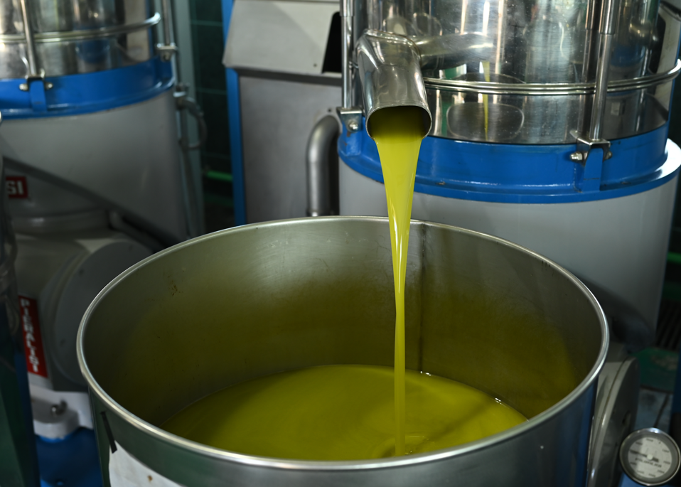 Ningún alimento o medicina puede hacer lo que el aceite de oliva