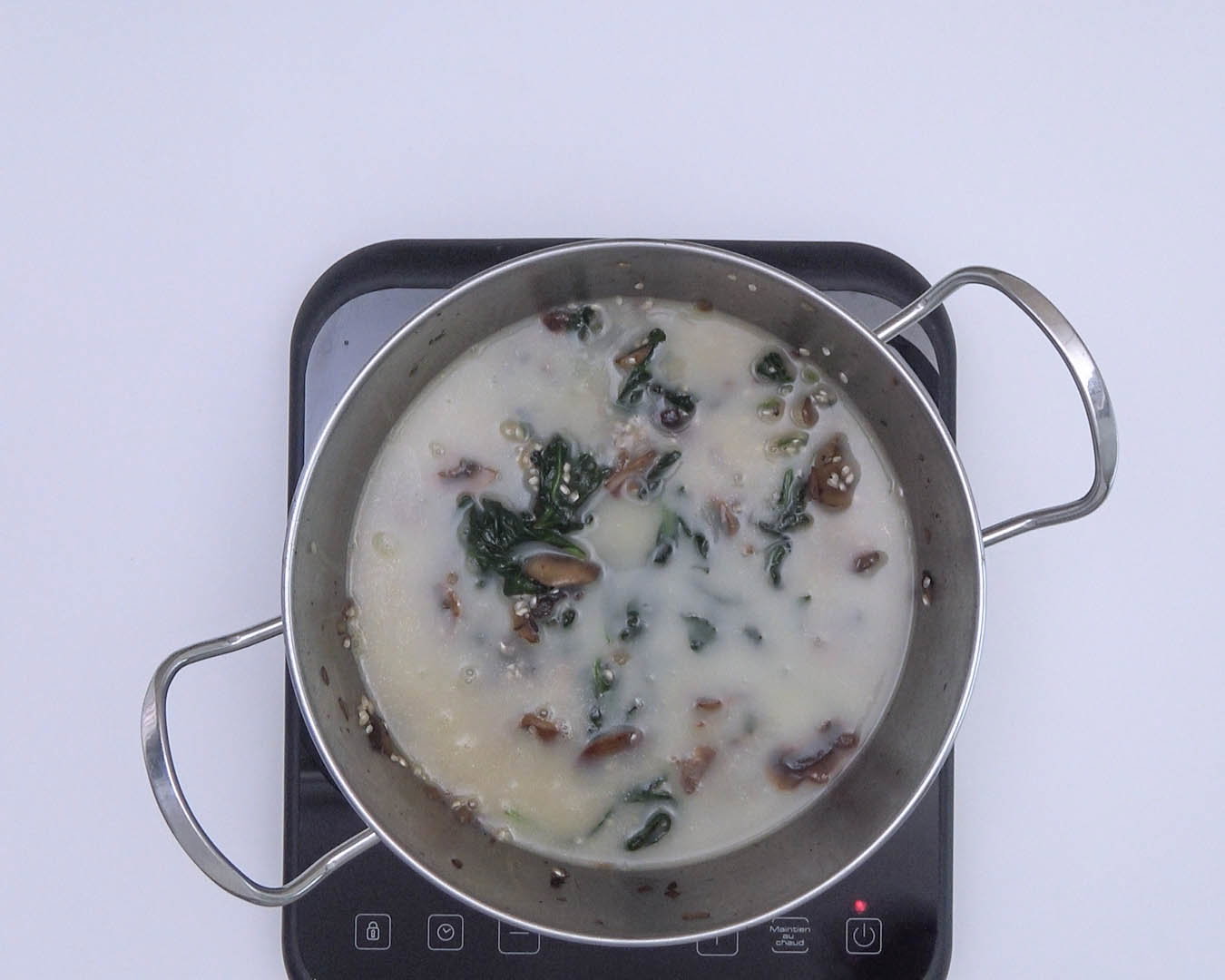 Arroz vegetariano 19