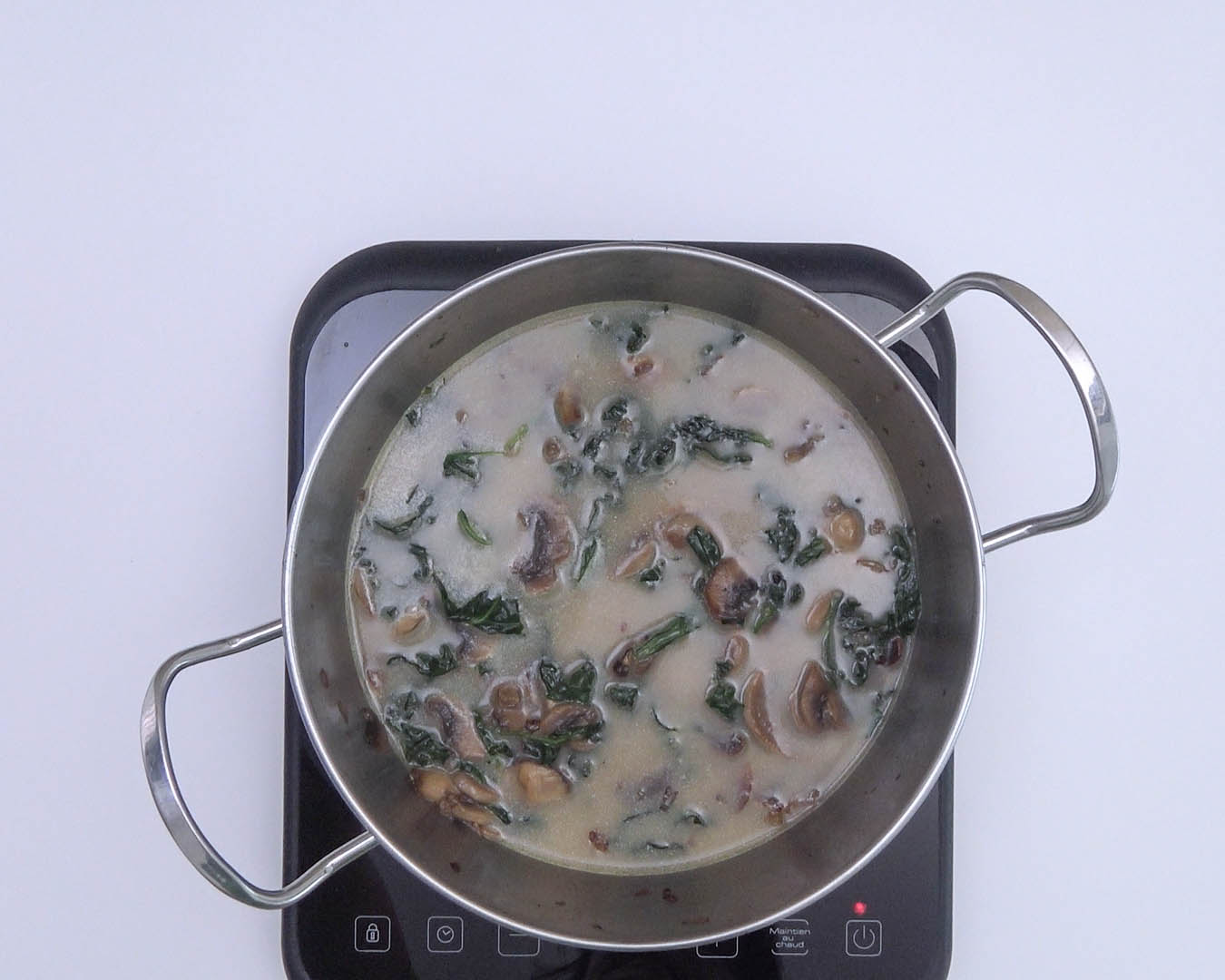 Arroz vegetariano 20